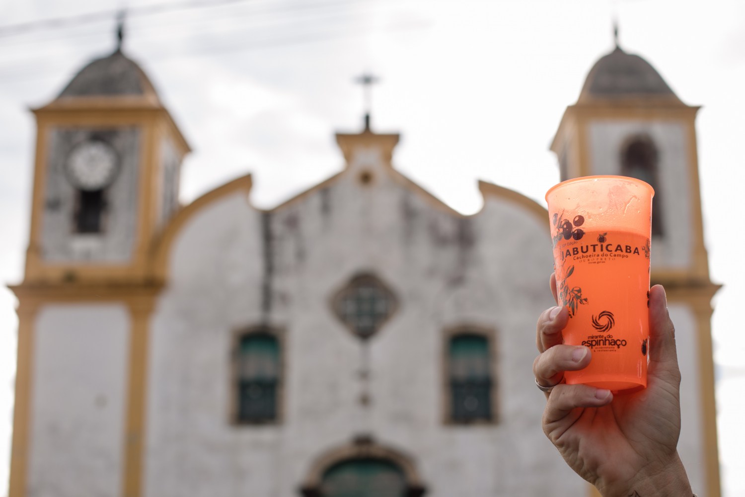 Artes Os Poder O Se Inscrever Para A Festa Da Jabuticaba De Cachoeira