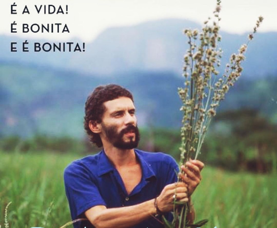 Festas juninas: do direito autoral às músicas mais tocadas no Brasil nos  últimos 10 anos - Jornal Voz Ativa