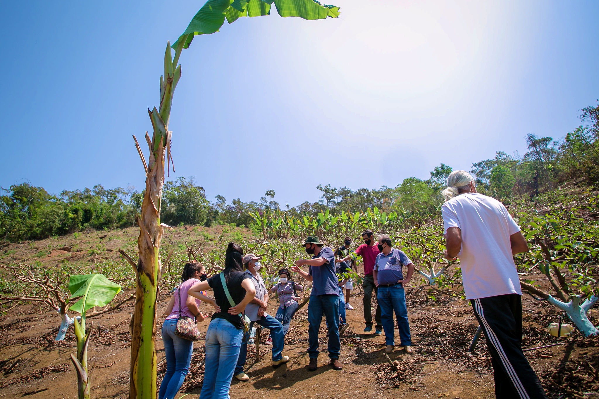 Visita dos produtores da região de Cachoeira do Campo as unidades produtivas ( agroindústrias/hortas) da COOPAFOR em Santa Rita. Crédito - Ane Souz/PMOP.