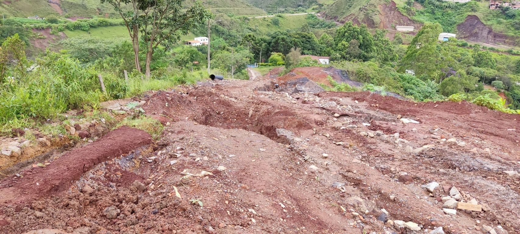 lírios-do-campo-pede-socorro