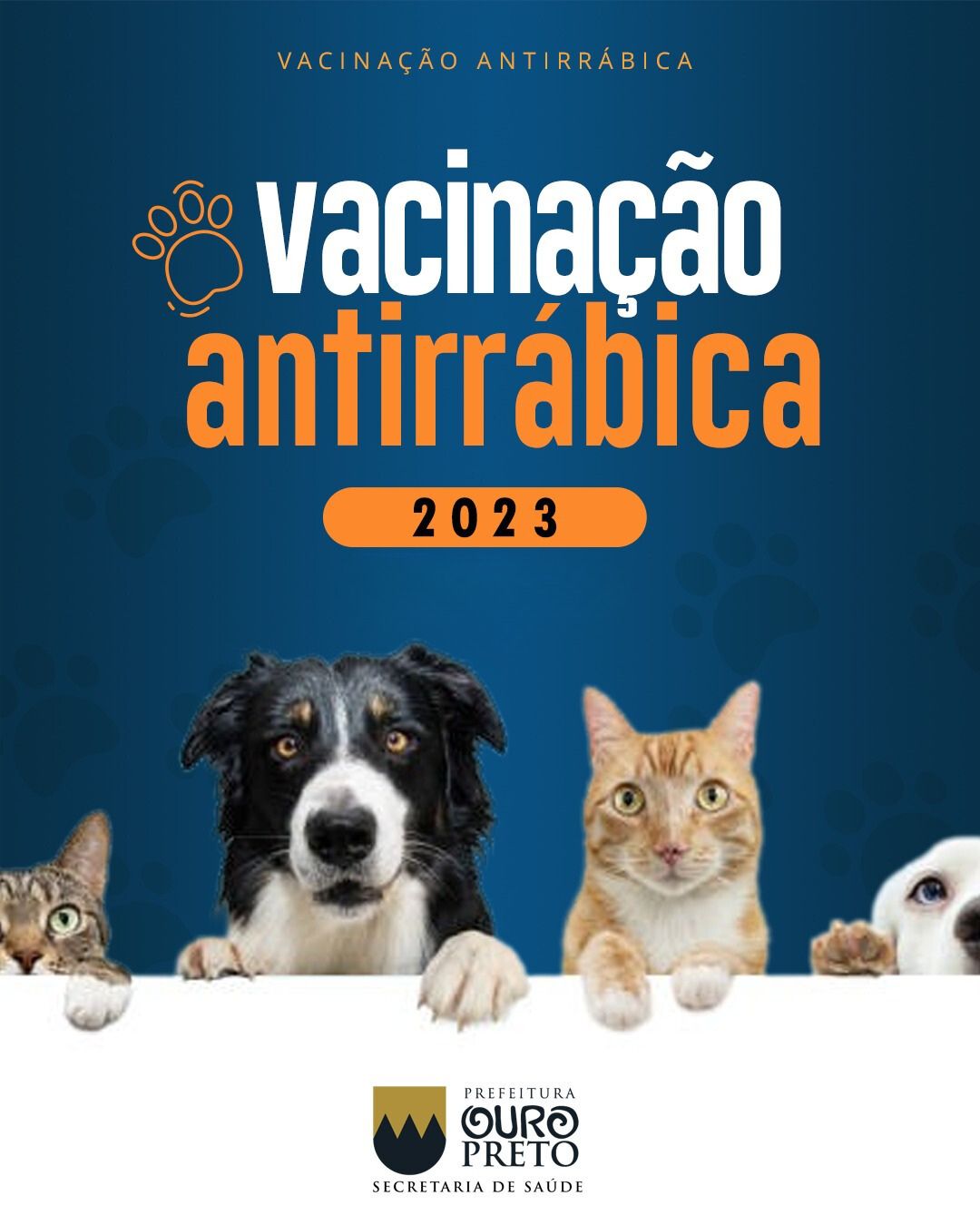 Vacinação antirrábica acontece em Brumadinho no mês de agosto